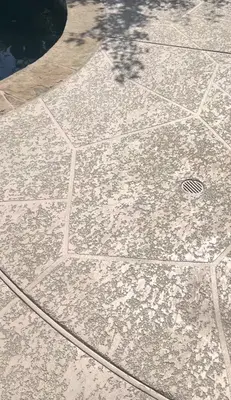 Power wash profesional